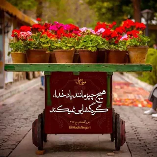 کلیپس دم وال